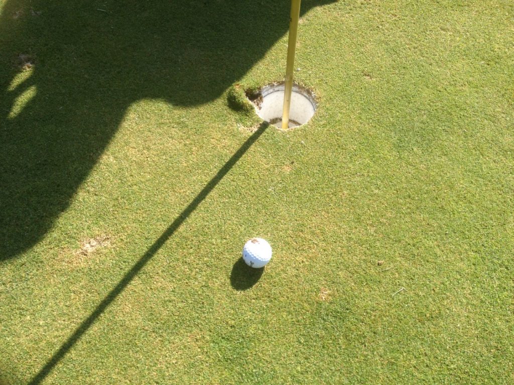 To Give or Not to Give