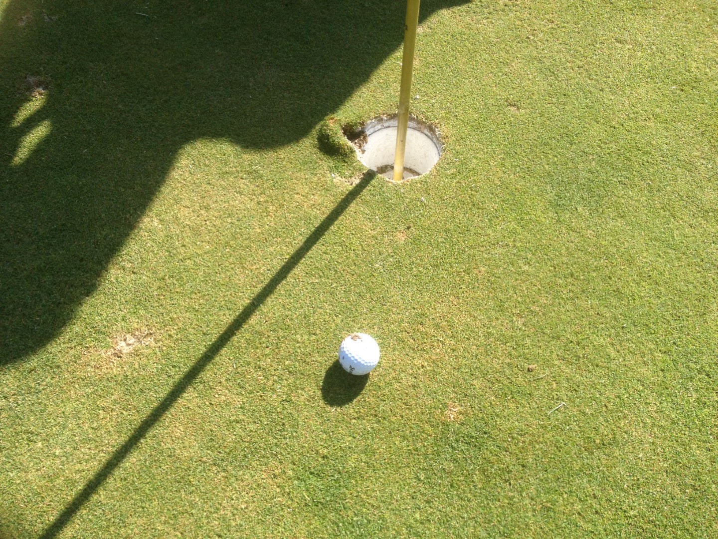 To Give or Not to Give